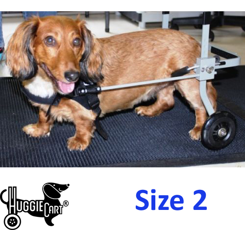 extra small dog wheelchair